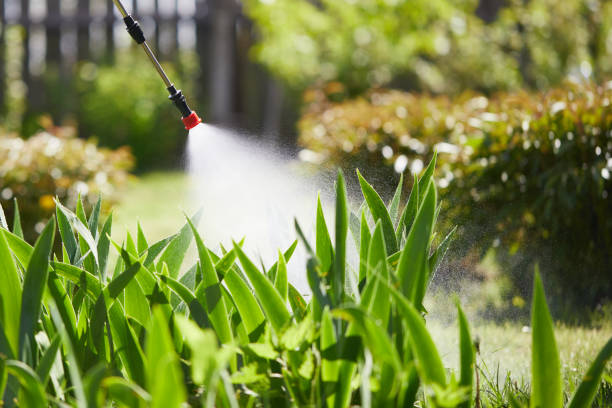 Tamper-Resistant Bait Stations for Rodents in Camden