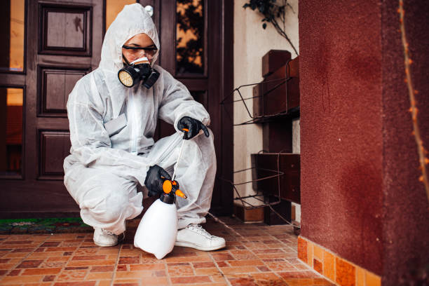 Attic and Crawl Space Rodent Treatment in Camden