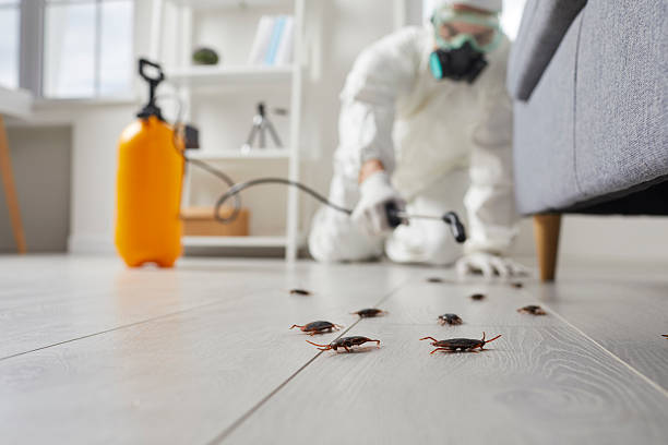 Commercial Rodent Management in Camden
